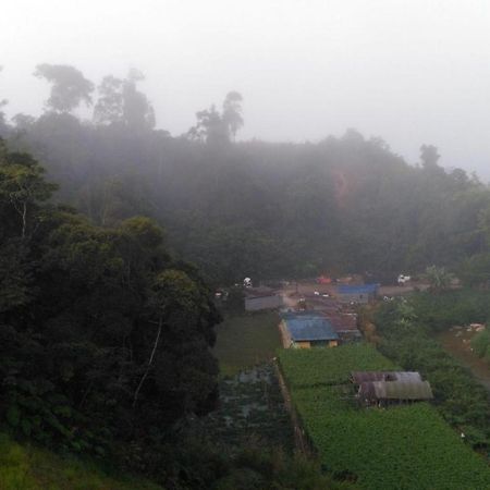 เดอะ ไพน์ โฮเต็ล Hotel Kampung Kuala Terla ภายนอก รูปภาพ